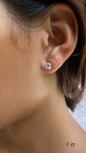 Eternal Four Prong Studs White Gold